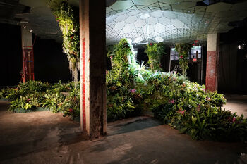 Copyright: The Lowline