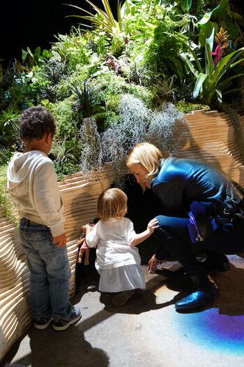 Copyright: The Lowline