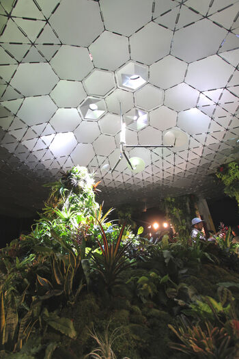 Copyright: The Lowline