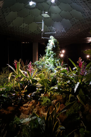 Copyright: The Lowline