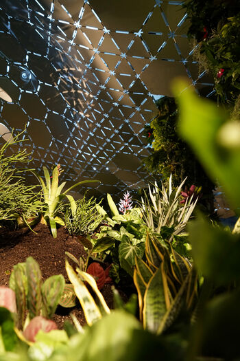 Copyright: The Lowline