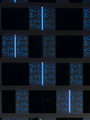 Foto beschikbaar gesteld door Mackay   Partners