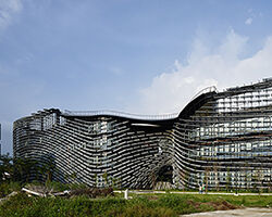 Foto door Daici Ano via Noiz