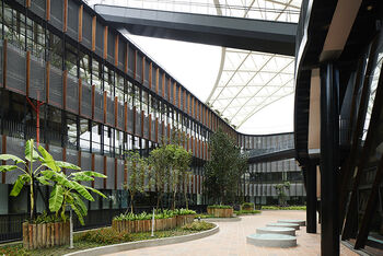 Foto door Daici Ano via Noiz