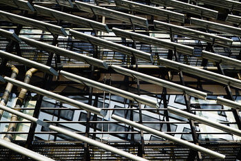 Foto door Daici Ano via Noiz