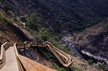 Foto door Tiago Martins