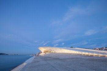 © Francisco Nogueira