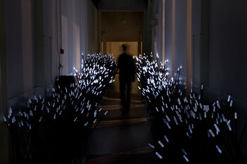 DUNE aan de Maas, Rotterdam Een landschap van lichtgevende rietstengels van Studio Roosegaarde.