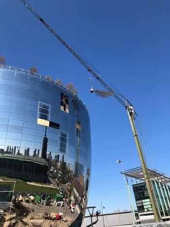 De eerste berk wordt met een speciale kraan naar het dak getild van het Depot. Beeld: Arjen Ketting, MVRDV