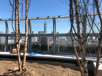 Vanaf het dakterras heeft de bezoeker straks spectaculair uitzicht over Rotterdam. Beeld: Winy Maas, MVRDV