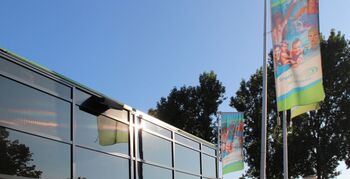 Subsidie voor het gebruik van zonnecellen als bouwmateriaal