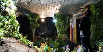 ’s Werelds eerste ondergrondse park vernieuwt openbare ruimte