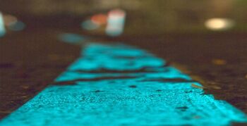 Glow-in-the-dark fietspad in Kralingse Bos