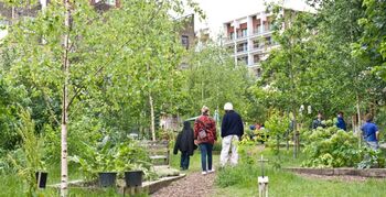 Stadslandbouw heeft positief effect op gezondheid