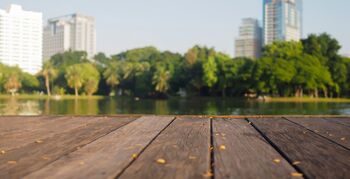 Stroomversnelling woningrenovatie levert risico voor natuur