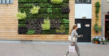 Groene blikvanger in Woerden