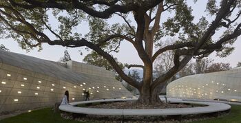 Betonnen plein met wensboom voor rust en bezinning