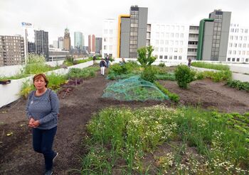 NTA voor begroeide daken gepubliceerd