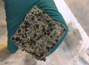 Atheneum leerlingen creëren 'superbeton' uit plastic vezels