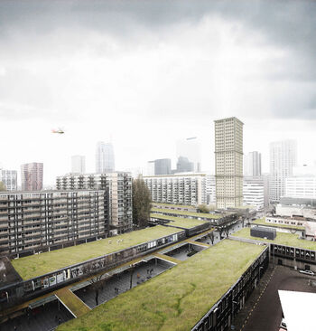 Dakenprogramma Rotterdam genomineerd voor C40 Cities Award