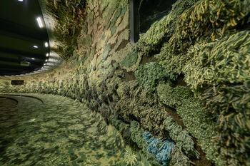 De wanden van deze collegezaal zijn bekleed met mos