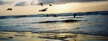 Eerste drijvende zonnefarm