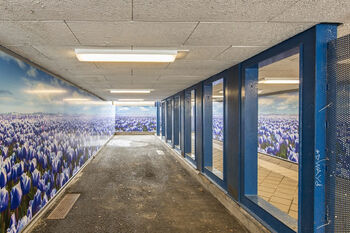 Experts in folietoepassingen