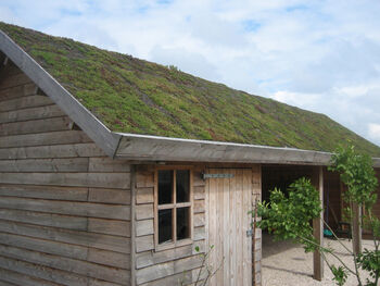 De multifunctionaliteit van daken