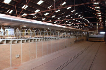 Metselbaksteen wint weer aan terrein