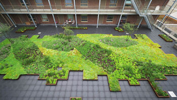 Samenwerken op het platte dak