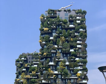 Functioneren als een bos