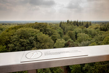 Ontwerpwedstrijd voor uitkijktoren Nieuw Delft