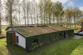 8 kansen om groen te integreren op gebiedsniveau