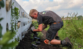 MVO ontwikkelt betonnen keerwand die biodiversiteit bevordert