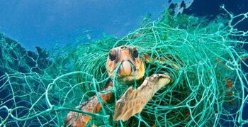 Interface wint Enlightenmentz of the Year 2014