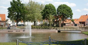 Klimaatbestendige stad: Meer groen en meer blauw in de stad!?