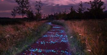 Aanleg Roosegaarde – Van Gogh fietspad start dit najaar