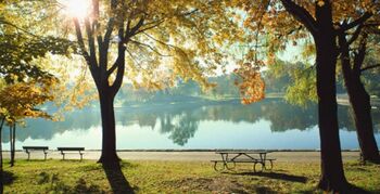 TNO rapport 'Gezond ouder in groene leefomgeving'