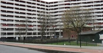 Hoe de Bijlmer er weer bovenop kwam: vijf lessen voor andere probleemwijken