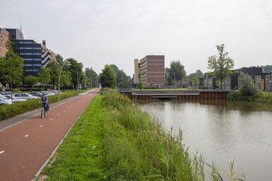 Wijkvernieuwing Lewenborg