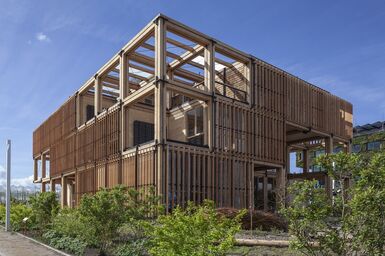 The Natural Pavilion