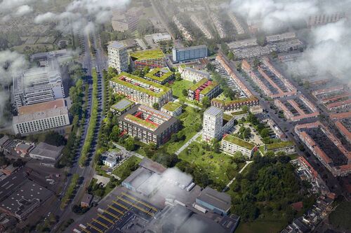 Project Blossem Breda