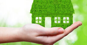 Gebouwen kunnen niet zonder groen