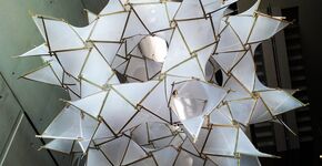 Alison Martin en VUB winnen IASS 2015 prijs