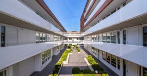 Cityroofs samen met Leven op Daken