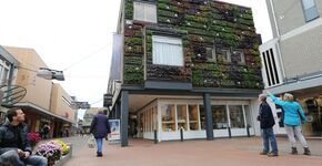 Veghel kiest voor groene en verlichte plantenwand