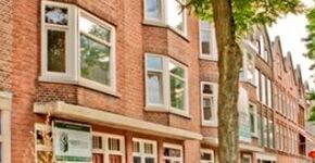 Renovatieproject ’t Vergeten Paradijs’  in Nieuw Crooswijk