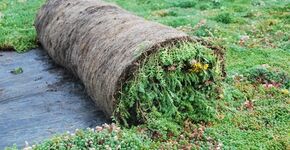Verhoogde Noordzeebrug krijgt jas van bloemen