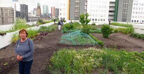 NTA voor begroeide daken gepubliceerd