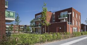 Van aken architecten adviseert Chinese overheid over seniorenhuisvesting